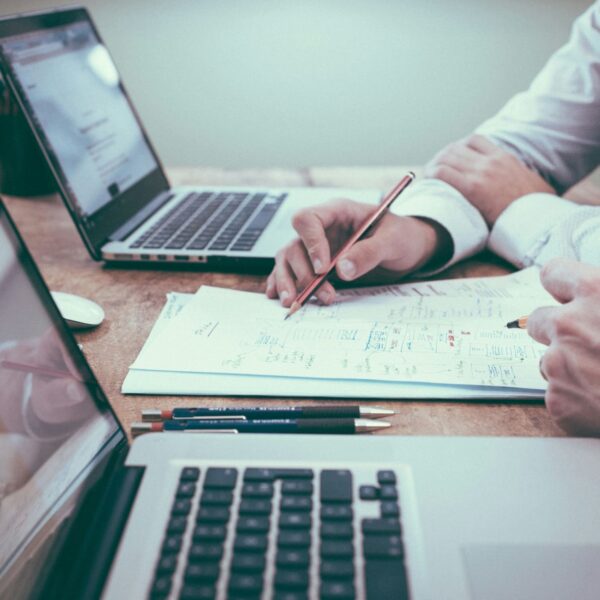 WordPress Consultation